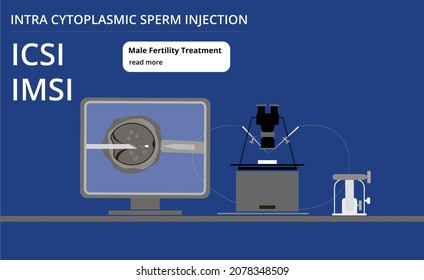 Vector Illustration ICSI Monitor Laboratory Work Space Table ICSI IMSI - Part Of IVF Process