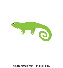 Vector illustration of a iguana isolated on white background.