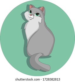 Vector illustration. Image of animal. Image of a cat.