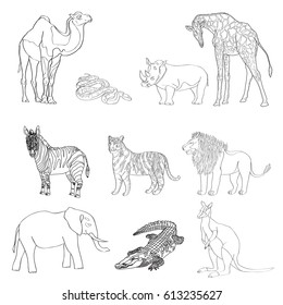 Vector illustration, the image of animals, animals. Black and white line. Elephant, kangaroo, camel, lion, zebra rhinoceros giraffe snake crocodile and tiger