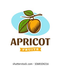 Vector illustration with the image of apricot on the branch. Logo. Engraving.