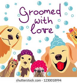 Vector illustration with the image of cute dogs in the foam, soap bubbles and the phrase written by hand Groomed with love. Hand drawn pet care illustration
