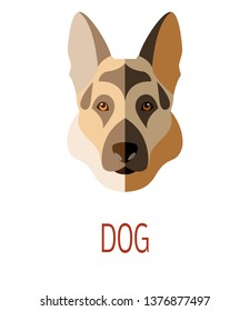 Vector illustration image of a dog head in the style of the flat art
