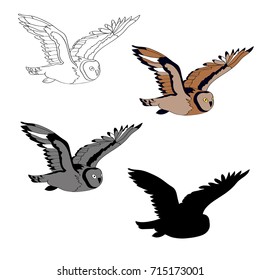 Vector Illustration, An Image Of A Flying Owl. Black Line, Black And White And Gray Spots, Black Silhouette, Color Image