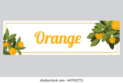Vector an illustration with the image of fruits of orange on branches.banner with the image of citruses on a branch.