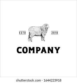 Vector illustration. Image of a grunge retro sheep, hand drawn. Realistic logo