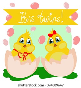 Vector illustration with the image of a newborn chick in the egg  - its twins