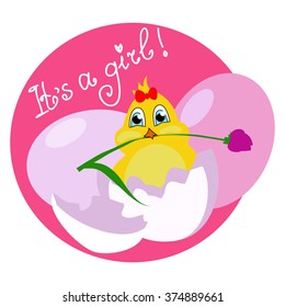 Vector illustration with the image of a newborn chick in the egg  - its a girl