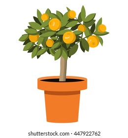 Vector An Illustration With The Image Of Orange Tree With Fruits In A Pot. Citrus Trees 