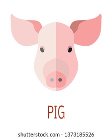 Vector illustration image of a pig head in the style of the flat art