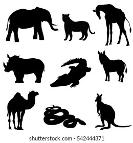 Vector illustration. Image rhino kangaroo, giraffe, elephant, zebra, snake, crocodile camel tiger a black silhouette