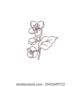 Ilustración vectorial con la Imagen de un boceto de una rama de sakura en blanco y negro. Flor tradicional asiática. Para colorear. Estilo de dibujos animados. Fondo aislado. Icono para el diseño.