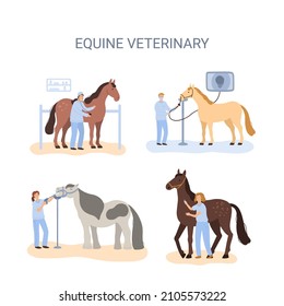 vector illustration, image of veterinarian equine clinic, different situations in hospital, vaccintation, endoscopy, diagnostic and dental care