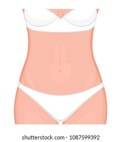 Vector illustration/ Image of Woman body part, slim belly, hips. Front view. For advertising of cosmetic plastic surgery, procedures, stomach shunting, diet, medical publications. EPS 8.