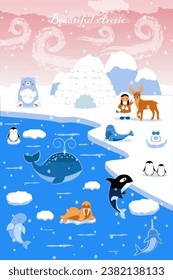 Vector illustration with images of arctic animals: narwhal, penguins, polar bear, owl, walrus, seal, killer whale, beluga whale, whale and little girl.