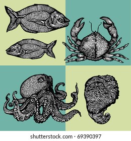 Vector illustration - image-vector images on the theme of seafood