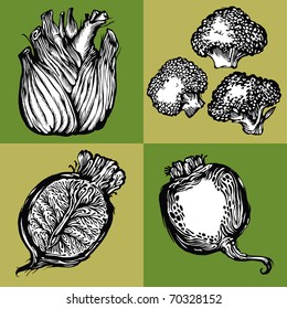 Vector illustration - image-vector images on the theme of vegetables