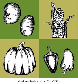 Vector illustration - image-vector images on the theme of vegetables
