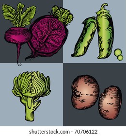 Vector illustration - image-vector images on the theme of vegetables