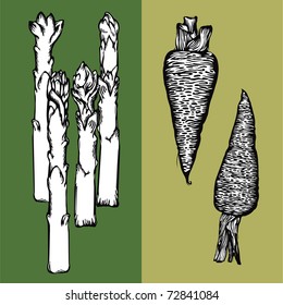 Vector illustration - image-vector images on the theme of vegetables