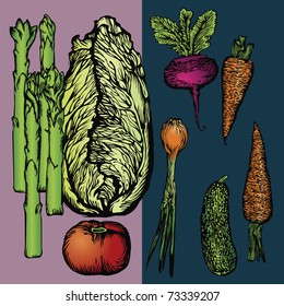 Vector illustration - image-vector images on the theme of vegetables