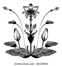 Vector illustration - image-vector images on the flowers theme