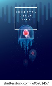 Vector illustration of the Immortal jellyfish swimming under the ocean surface