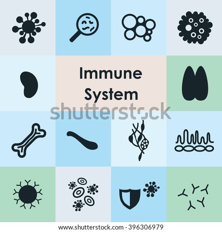 Vector Illustration Immune System Icons Set Stock Vector (Royalty Free