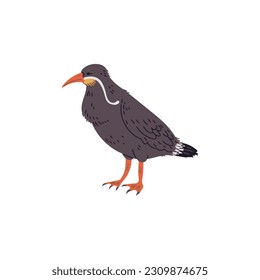 Ilustración vectorial de un pájaro inca único con un bigote blanco largo. Concepto de aves marinas dibujadas a mano estilo de diseño de dibujos animados, aislado en fondo blanco