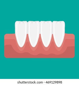 Vector illustration incisor teeth of the lower jaw and gums.