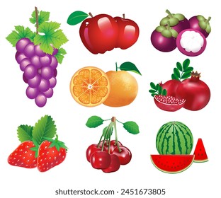 Vector illustration includes many types of fruits.