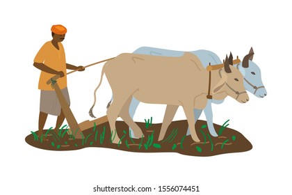 Vector illustration of indian farmer in turban with pair of oxen plowing field. Traditional agriculture. Flat style. 