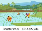 Vector Illustration Of Indian Rice Fields With Workers.Farmer Plowing Field With Pair Of Oxen, Carrying Rice Plants For Planting. Women Working In Rice Field. Authentic Traditional Agriculture.