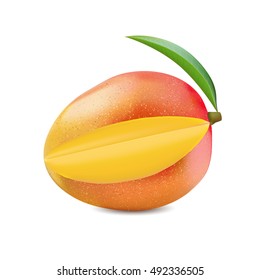 Vector illustration indica mango in natural style. Yellow-red-orange mango with cut slice on white background.