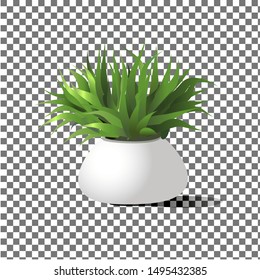 Vector illustration of indoor flower in a white pot. Element for interior decoration.