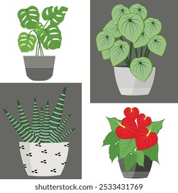 Vector illustration of indoor or house plant