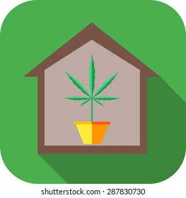 Vector illustration of indoor marijuana