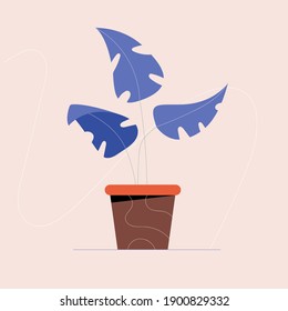 Vector illustration of indoor plant in a pot. House plant for your design.