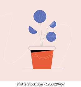 Vector illustration of indoor plant in a pot. House plant for your design.