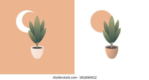 Ilustración vectorial de plantas interiores con un hermoso gradiente llamado planta de serpiente