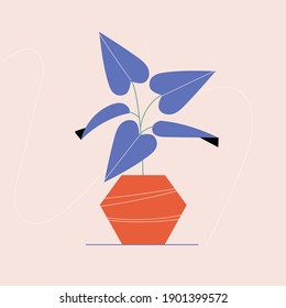 Vector illustration of indoor stylized house plant in a pot. 