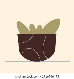 Vector illustration of indoor stylized house plant in a pot. 