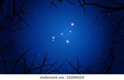 Vector illustration Indus constellation. Bright constellation in open space. Starry sky behind tree silhouette