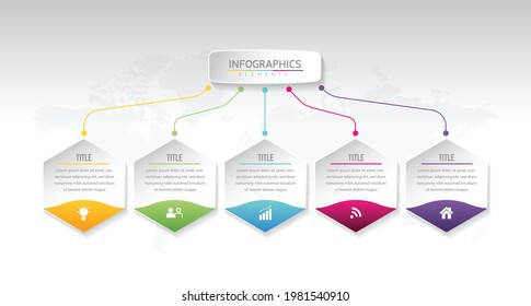 Vector illustration infographics design template, business information, presentation chart, with 5 options or steps. 