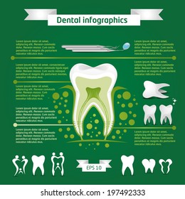 vector illustration infographics tooth anatomy, appliances dentists and dental