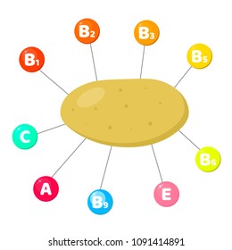 Vector illustration. Infographics. vitamins contained in vegetables. trace elements in colored circles. Potato