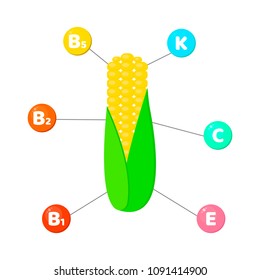 Vector illustration. Infographics. vitamins contained in vegetables. trace elements in colored circles. corn