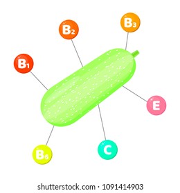 Vector illustration. Infographics. vitamins contained in vegetables. trace elements in colored circles. Squash