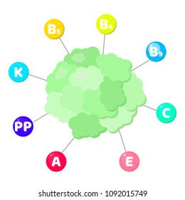 Vector illustration. Infographics. vitamins contained in vegetables. trace elements in colored circles. cauliflower