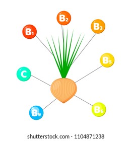 Vector illustration. Infographics. vitamins contained in vegetables. trace elements in colored circles. Onion 